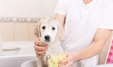 x8.jpg.pagespeed.ic.9yigom5mek